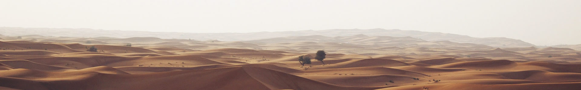 ص½ܱʶƼ人޹˾